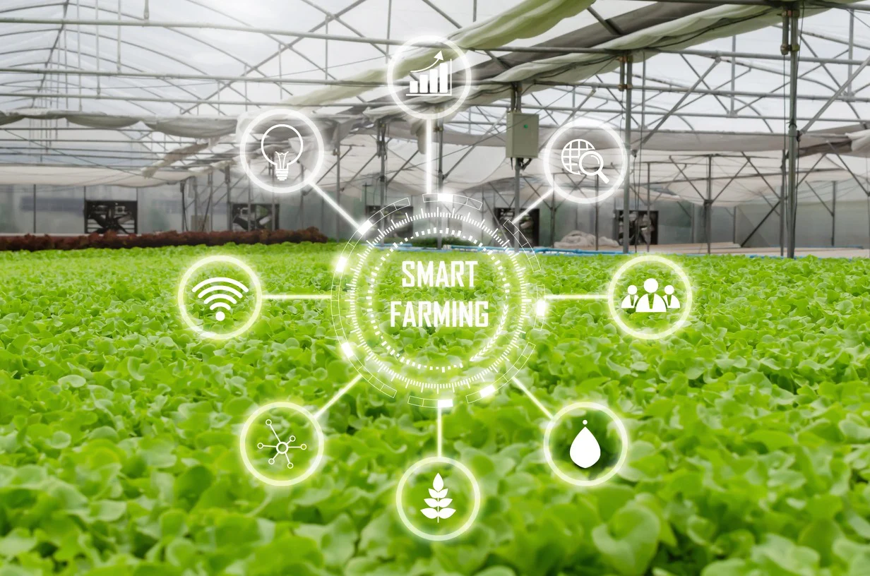SMART DOME 4.0 Project